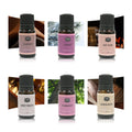 Gentlemen's Essential Oils Set