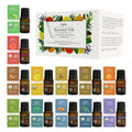 12pcs*10ml Essential Oils Set