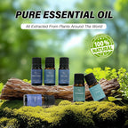 Well-being Essential Oils Set