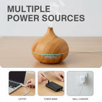 Power button detail on wood grain diffuser